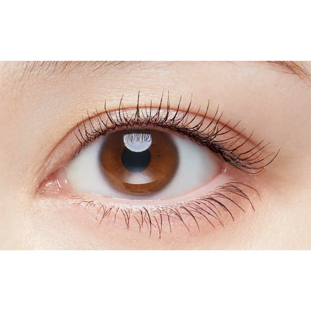 D-UP パーフェクトエクステンションマスカラN